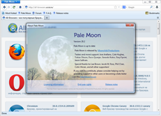 Скачать браузер Pale Moon 25.2.1 бесплатно